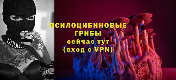 apvp Беломорск