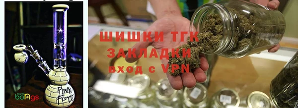 крисы Балахна