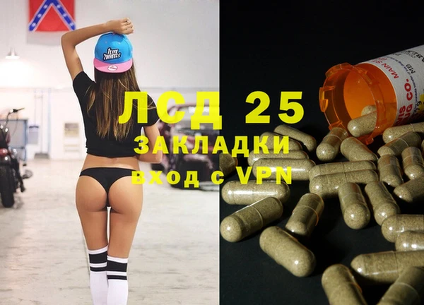 спайс Баксан
