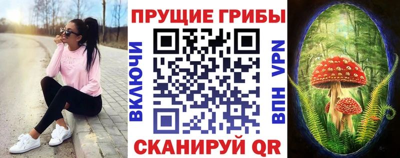 omg как войти наркошоп Голицыно Псилоцибиновые грибы мухоморы